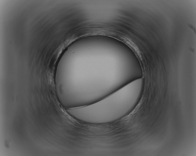 X0000092331481200709141107