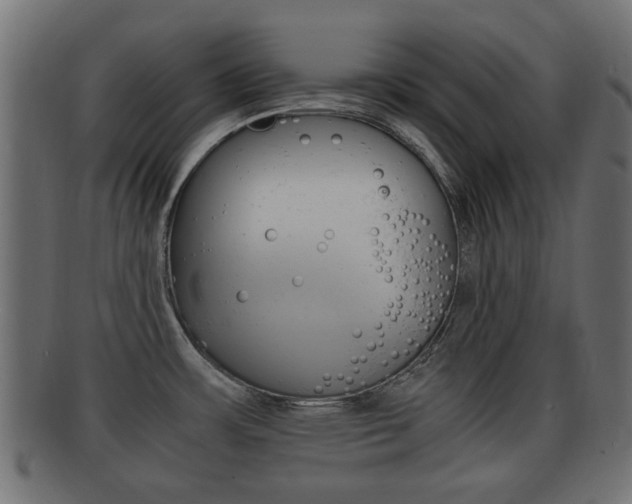 X0000092331483200709141107