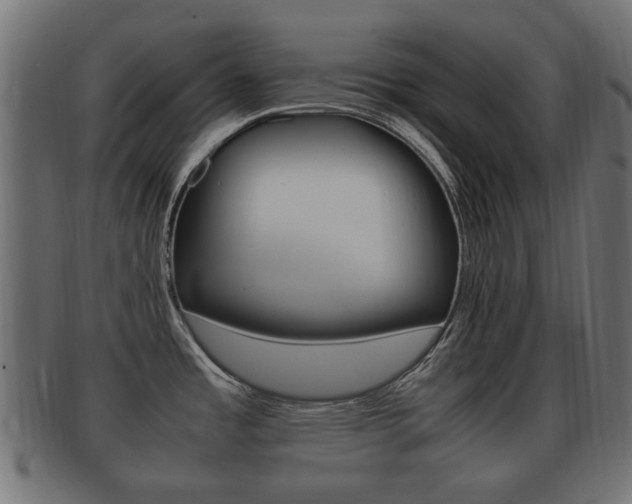 X0000092331485200709141107