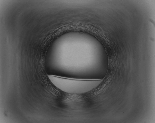 X0000092331490200709141107