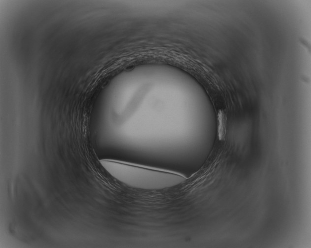 X0000092331491200709141107