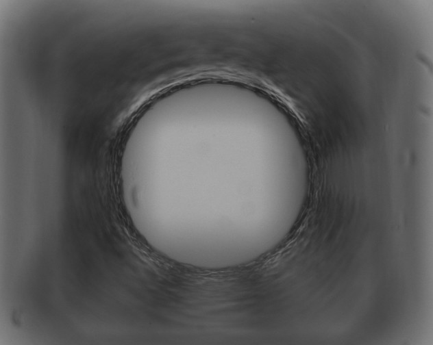 X0000092331496200709141107