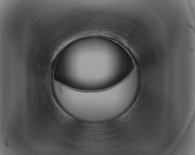 X0000092331500200709141107