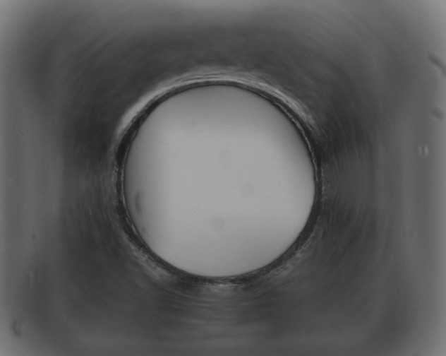 X0000092331502200709141107