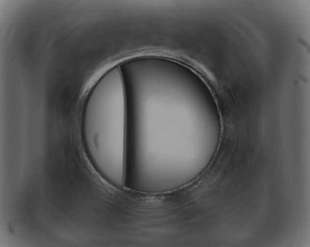 X0000092331504200709141107