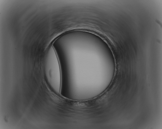 X0000092331505200709141107