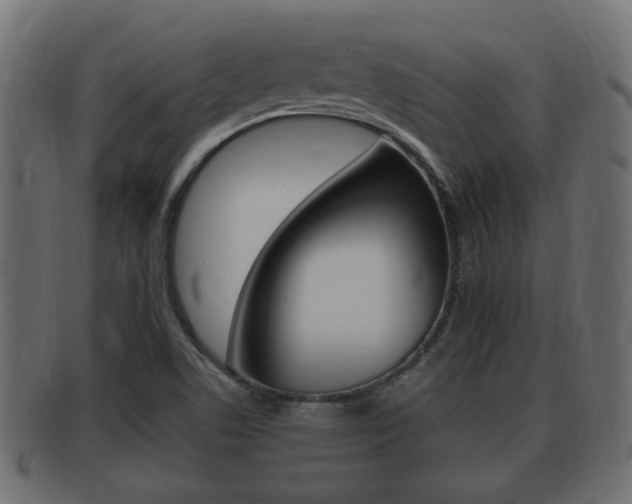 X0000092331506200709141107