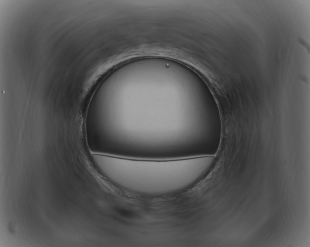 X0000092331507200709141107