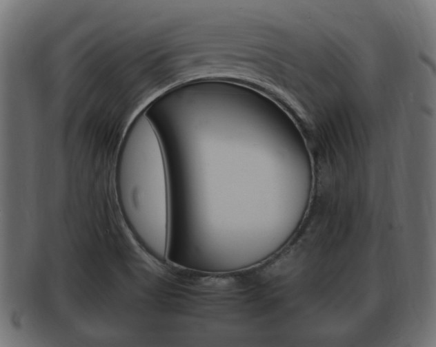 X0000092331513200709141107