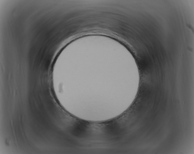X0000092331514200709141107