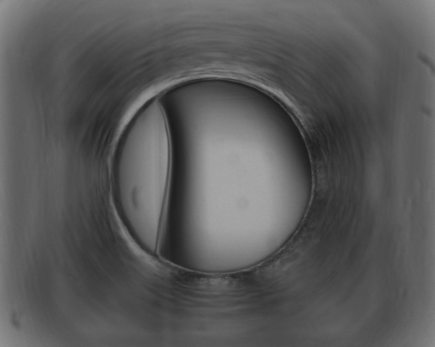 X0000092331515200709141107