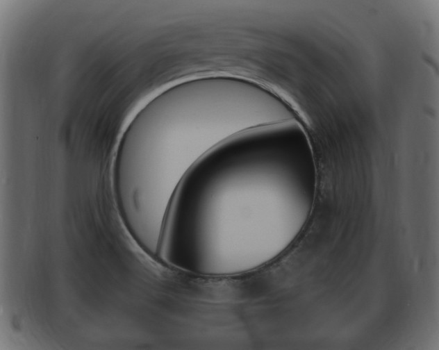 X0000092331516200709141107
