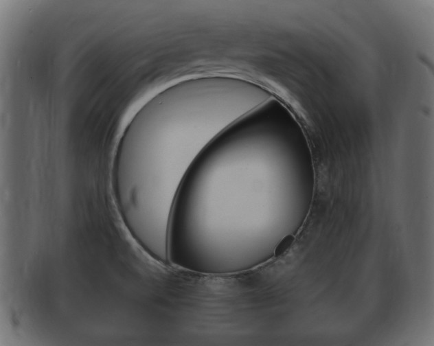 X0000092331520200709141107