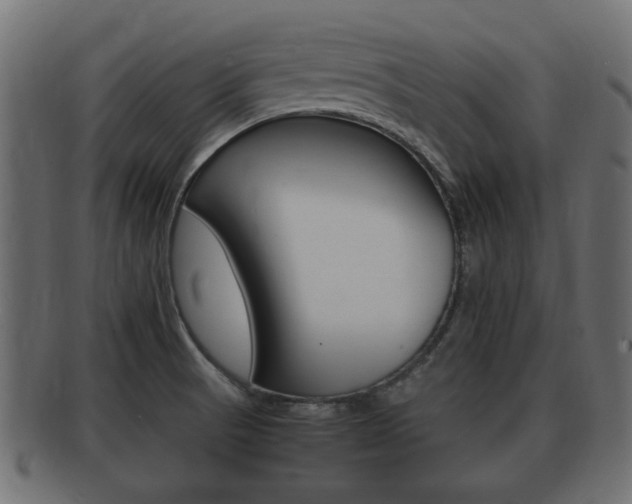 X0000092331521200709141107