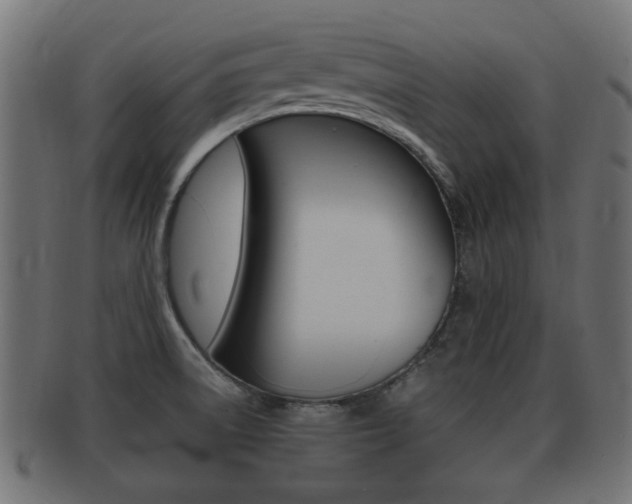 X0000092331522200709141107