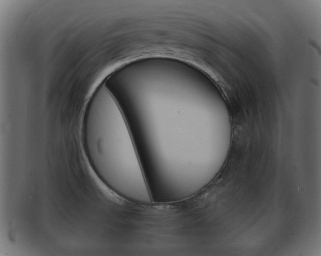 X0000092331523200709141107