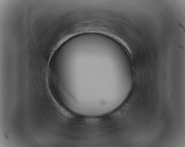 X0000092331525200709141107