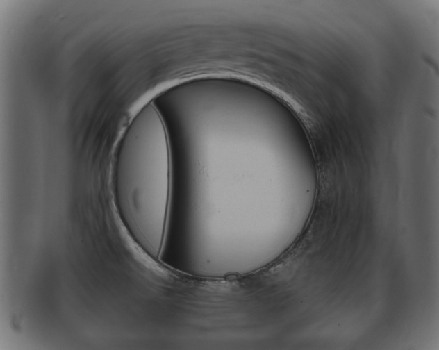 X0000092331526200709141107