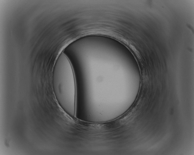 X0000092331529200709141107