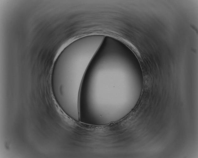 X0000092331530200709141107