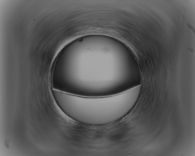 X0000092331531200709141107