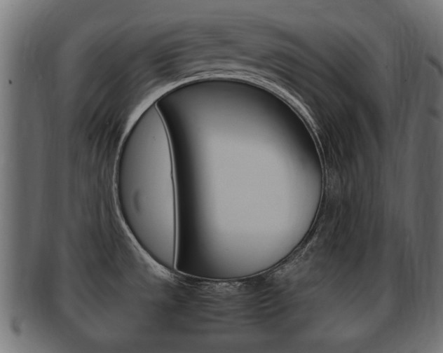 X0000092331533200709141107