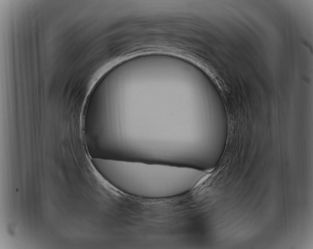 X0000092331535200709141107
