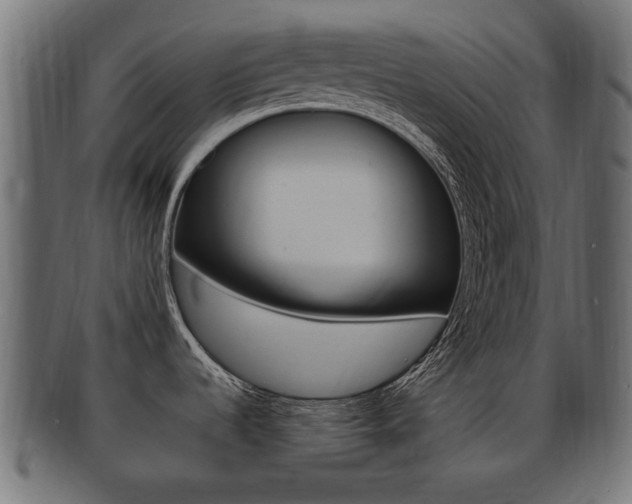 X0000092331536200709141107