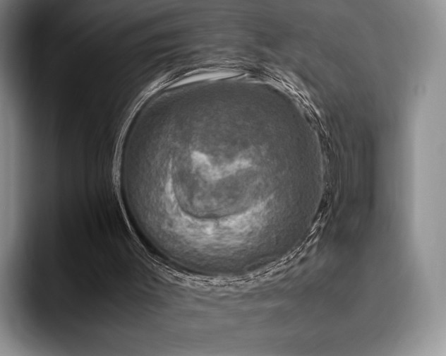 X0000092330003200709141428