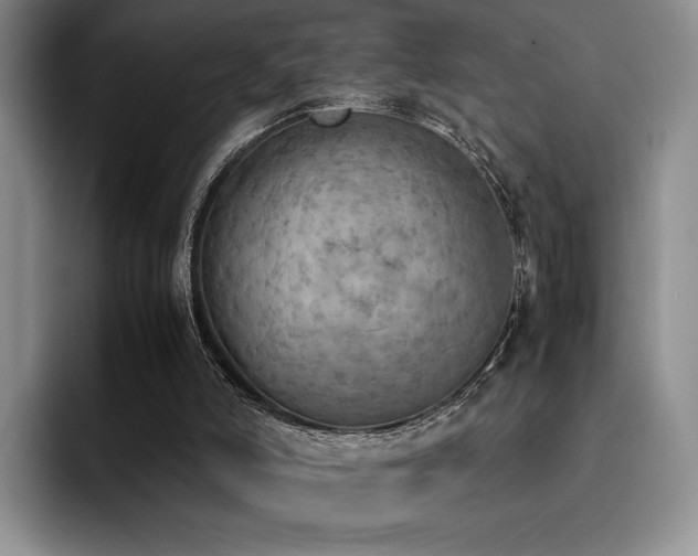 X0000092330006200709141428