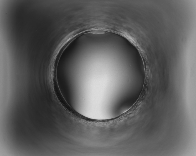 X0000092330007200709141428