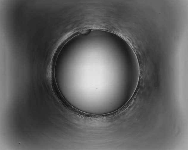 X0000092330008200709141428