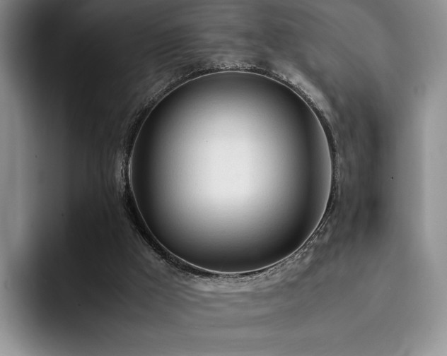 X0000092330009200709141428