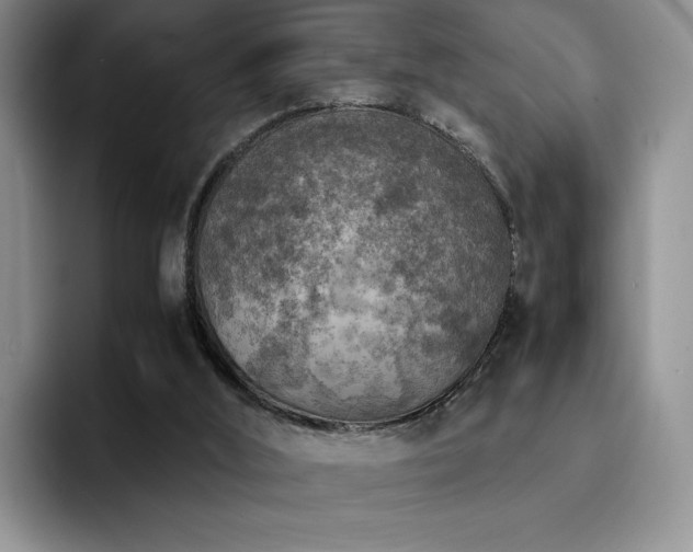 X0000092330012200709141427