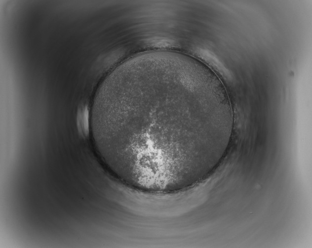 X0000092330014200709141427