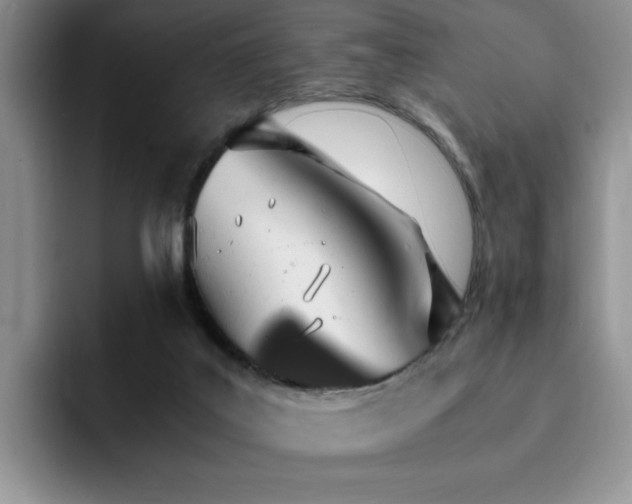 X0000092330019200709141427