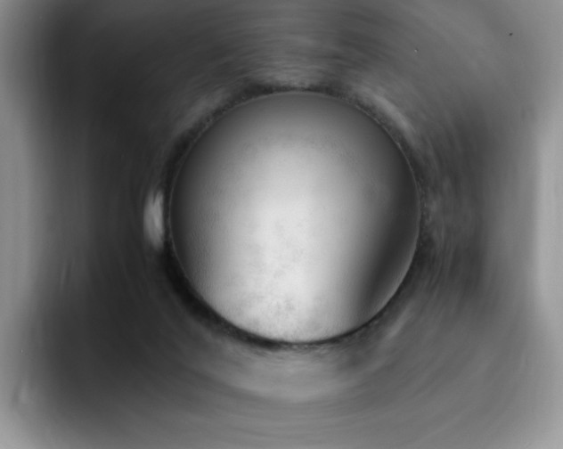 X0000092330020200709141427