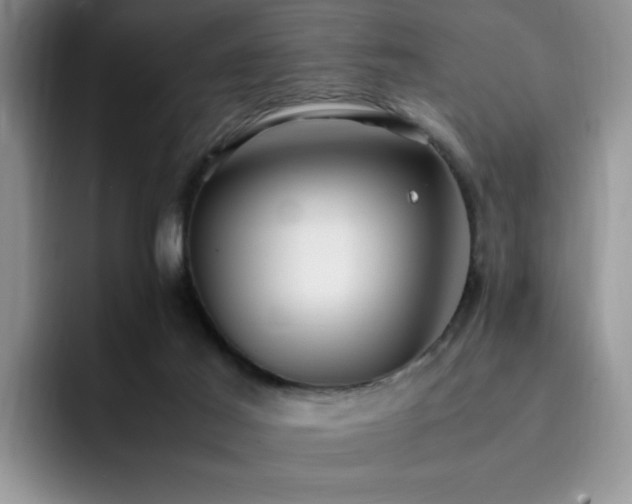 X0000092330021200709141427