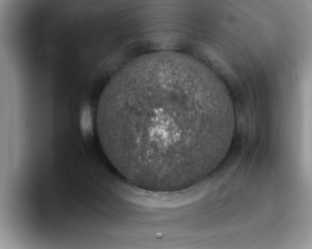 X0000092330026200709141427