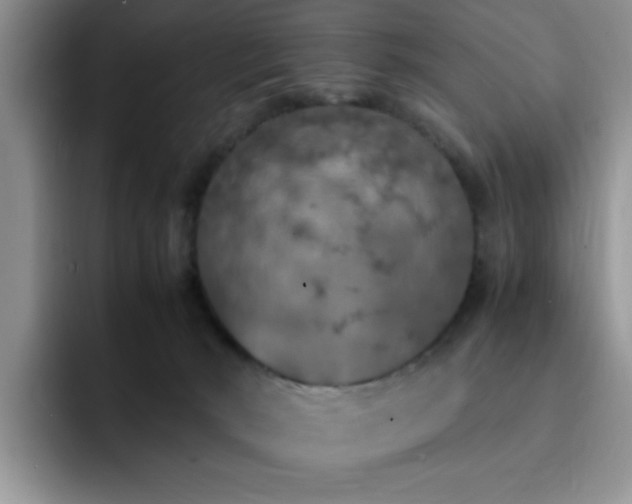 X0000092330030200709141427