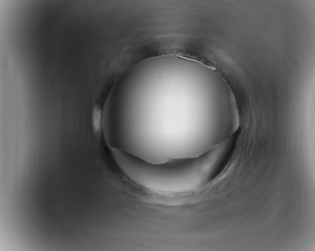 X0000092330041200709141427