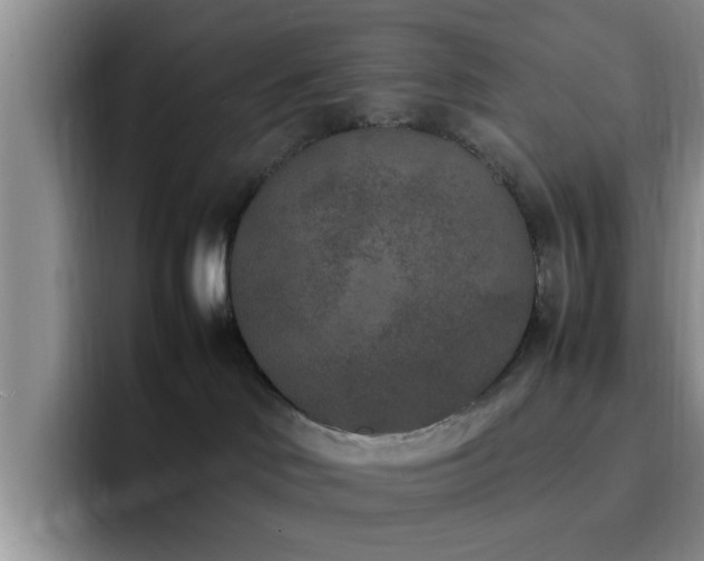 X0000092330046200709141427