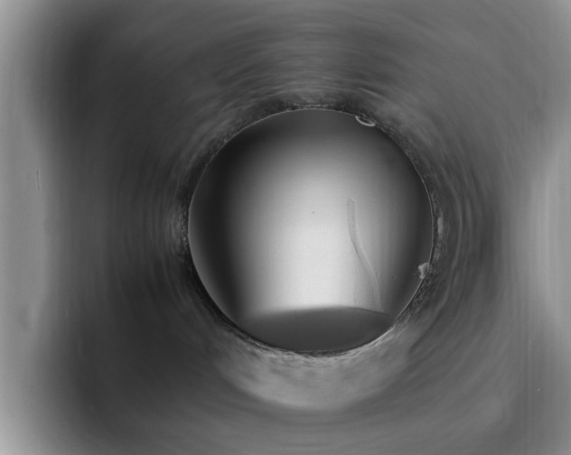X0000092330048200709141427
