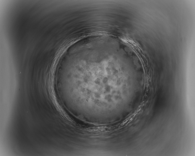 X0000092330049200709141426