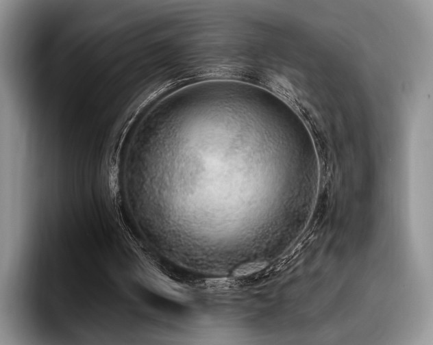 X0000092330050200709141426