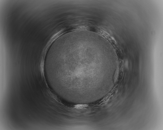 X0000092330051200709141426