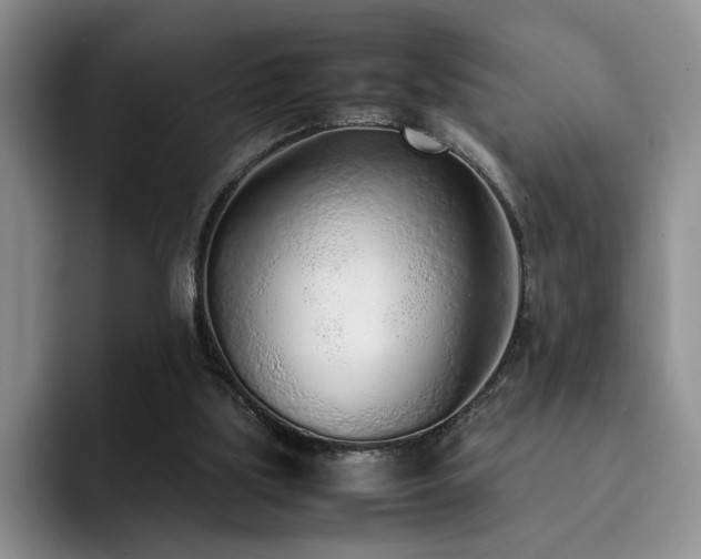 X0000092330059200709141427