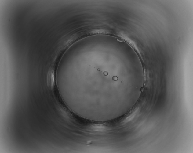 X0000092330061200709141427