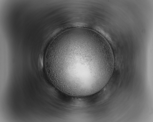 X0000092330062200709141427