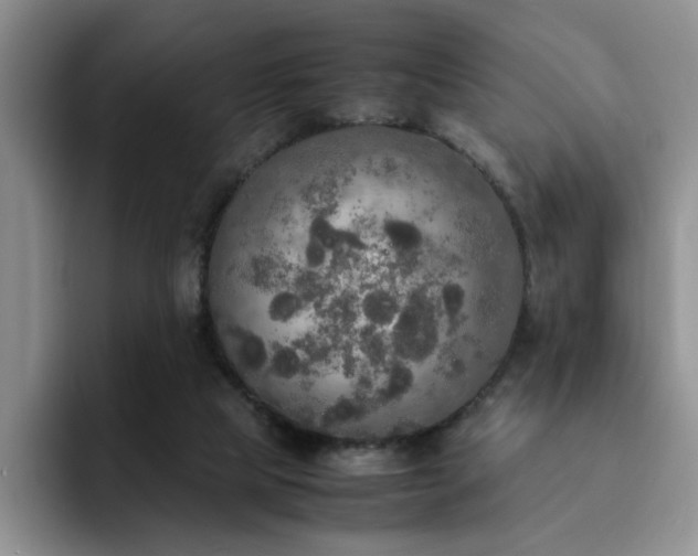 X0000092330065200709141427